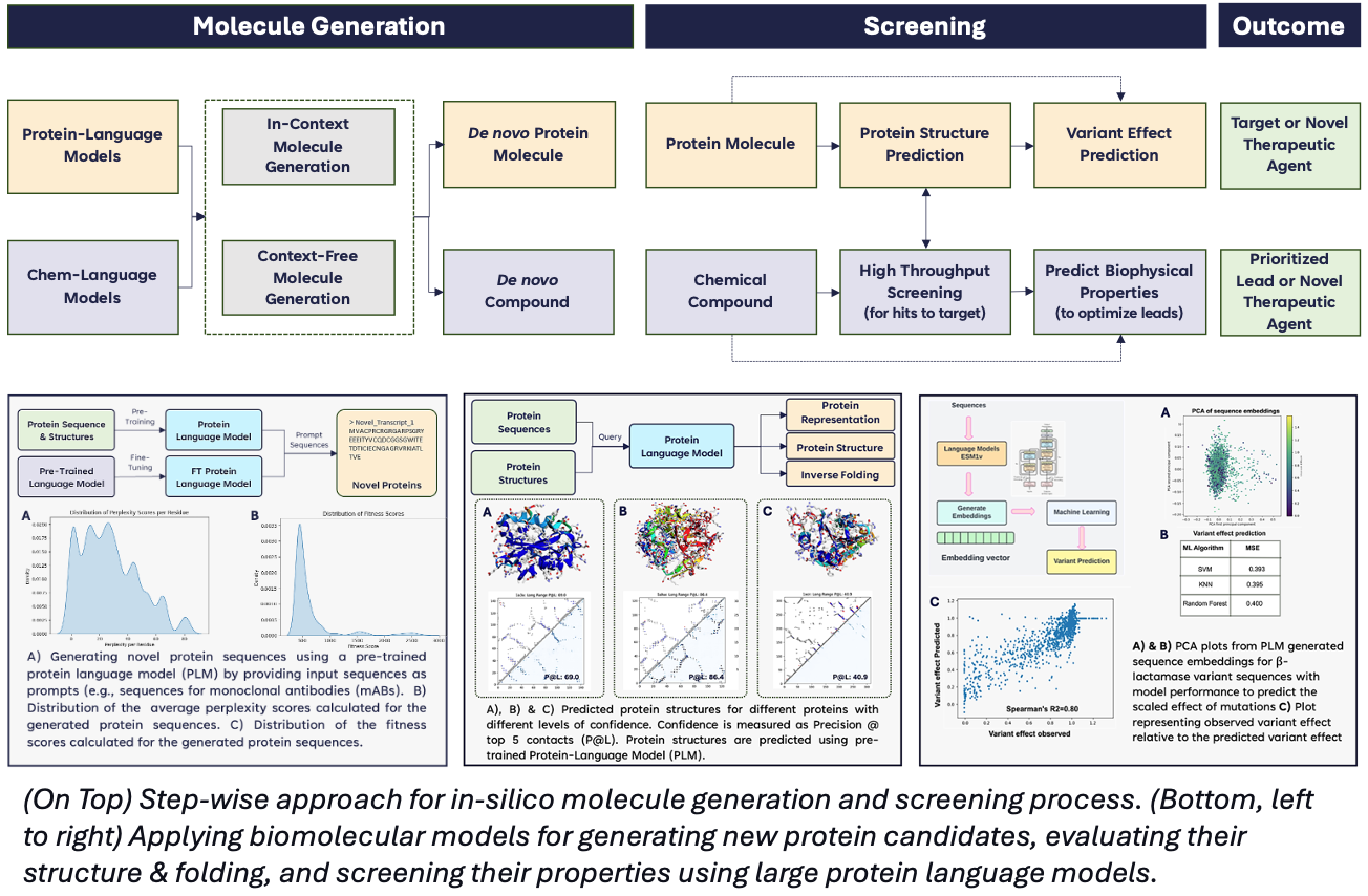 In Silico Drug Development